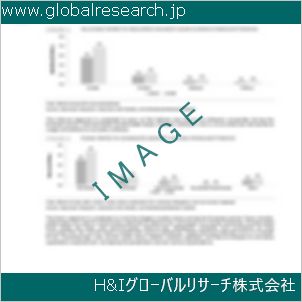 グローバルリサーチ調査資料のイメージ